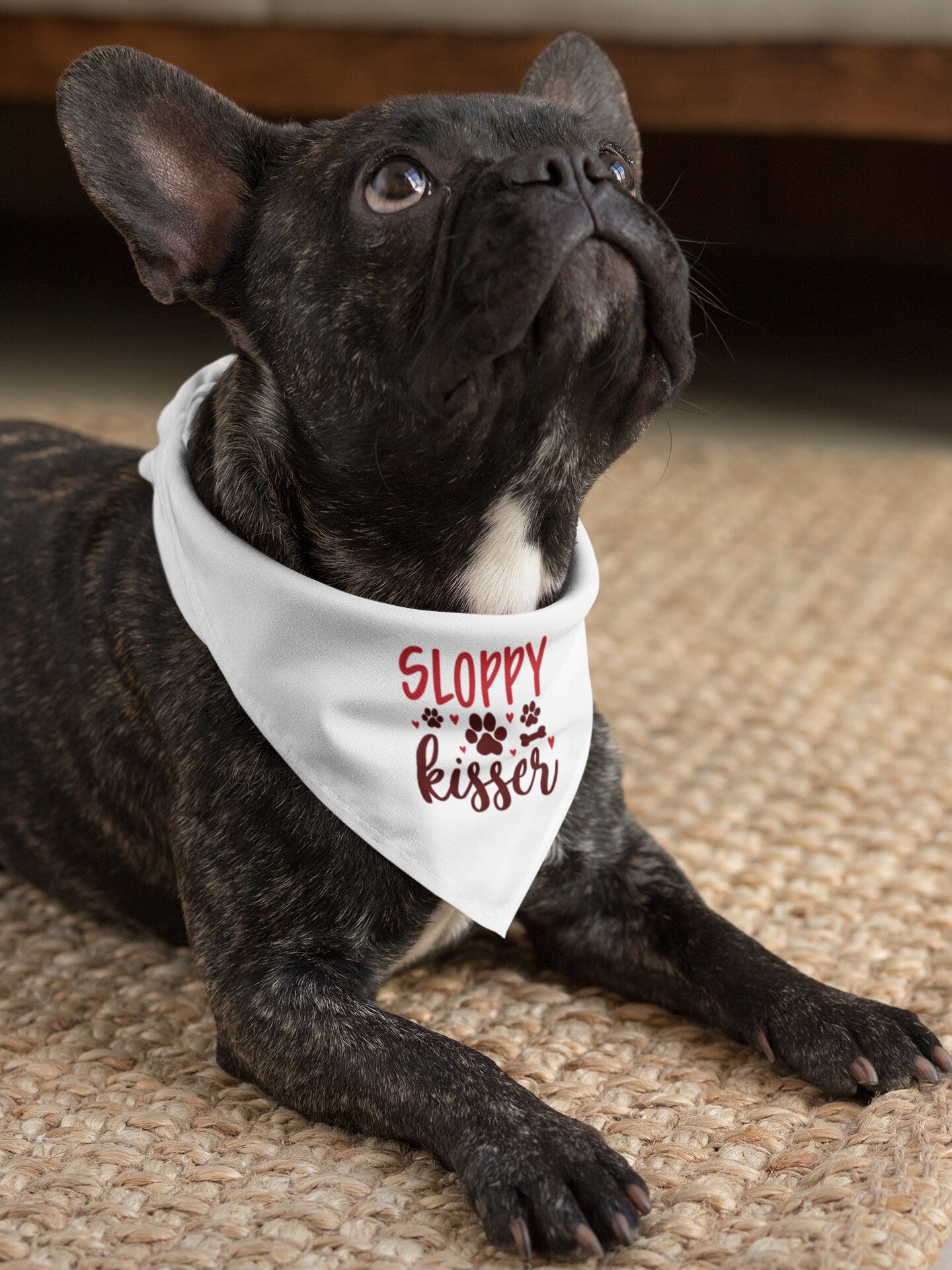 Sloppy Kisser Pet Bandana